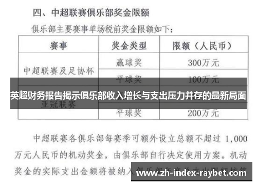 英超财务报告揭示俱乐部收入增长与支出压力并存的最新局面 英超财务报告揭示俱乐部收入增长与支出压力并存的最新局面