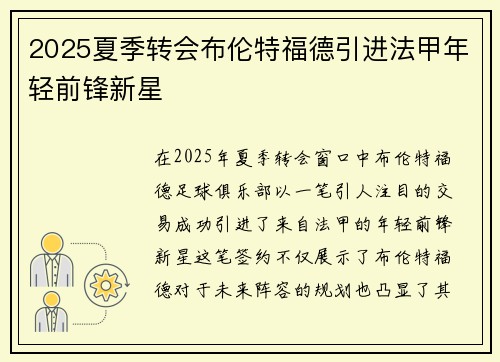 2025夏季转会布伦特福德引进法甲年轻前锋新星